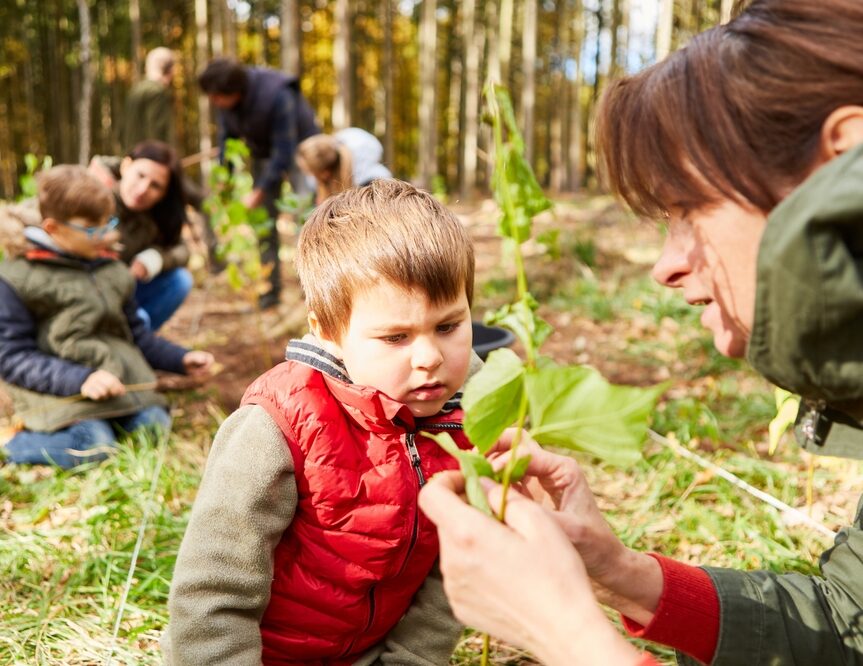 Boy,And,Teacher,Determining,The,Tree,In,The,Forest,When