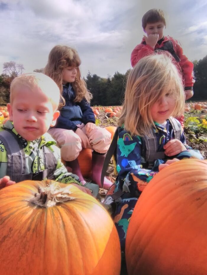 🎃 Arent these just the cutest pumpkin pickers? 🎃

Thank you so much to Syston Park Farm Shop and Cafe for your support, our pupils had the best time!

#newtonbridgeacademy #uniquelearnerslimitlesslearning #systonpark